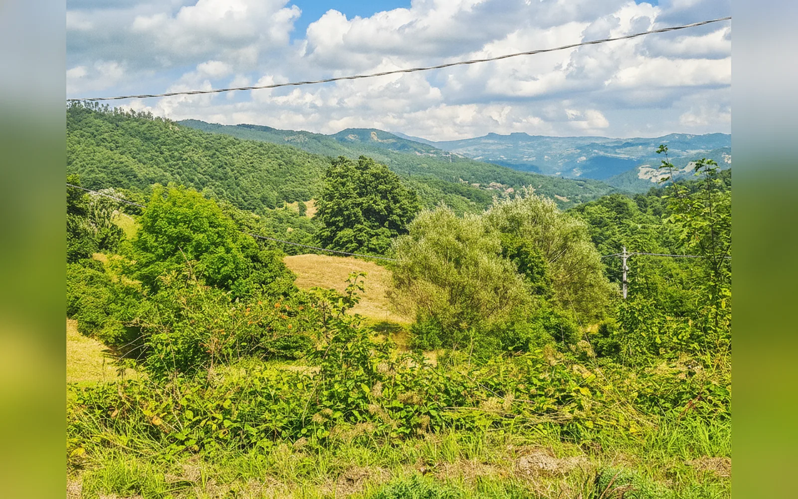 Esterni di La piccola baita, Pieve Santo Stefano (foto 29)